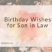 Birthday Wishes for Son in Law