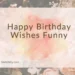 Happy Birthday Wishes Funny