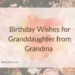 Birthday Wishes for Granddaughter from Grandma 