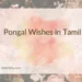 Pongal Wishes in Tamil 