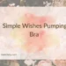 Simple Wishes Pumping Bra 