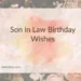 Son in Law Birthday Wishes