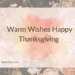 Warm Wishes Happy Thanksgiving 