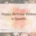 Happy Birthday Wishes in Spanish 